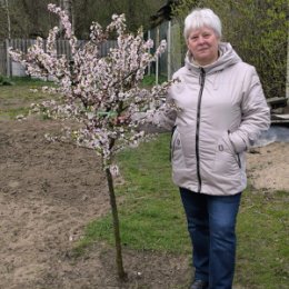 Фотография "Я на родине"