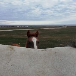 Фотография от Александр Андреев