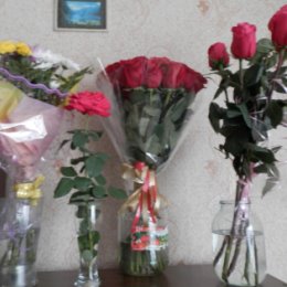 Фотография "все мои цветы)-из них только 41 роза"