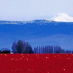 Фотография "хоть Родина и далеко - всё равно это самое дорогое сердцу место на земле...для меня это так."