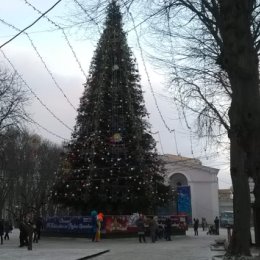 Фотография "Вінниця ялинка"