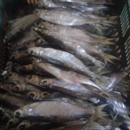 Фотография от Сушеная- Вяленая Рыба