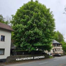 Фотография "Весна! До чего ж ты хороша! Сейчас тобою всё живёт, нас каждый день прекрасный ждёт!"