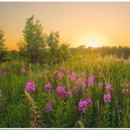 Фотография от Анна Лапаник (Иванцова)