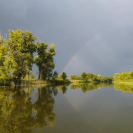 Фотография "Перед дождëм. "