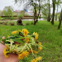 Фотография от Елена Чернова (Пиицкая)