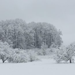 Фотография от Людмила Степанюк (Зданович)