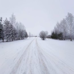 Фотография от Настя Кузнецова(Смит)