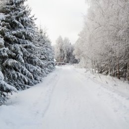 Фотография от ОЛЕГ ГАВРИЛЕНКОВ