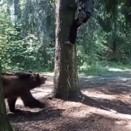 Фотография от Александр Пупышев