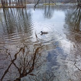 Фотография от Анна Валюкевич (Рутковская)