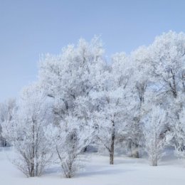 Фотография от Александр Гатиев