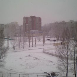 Фотография "Первый снег"