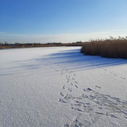 Фотография от Олег и Инна Опишняк ( Чередник )