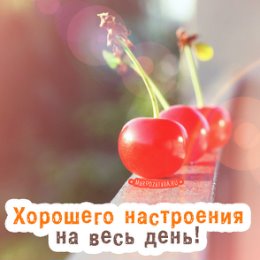 Фотография от Юлия Дорофеева