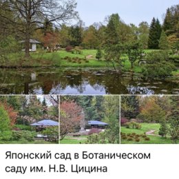 Фотография от Олеся Давыдова