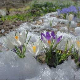 Фотография от ❄️Леся ❄️