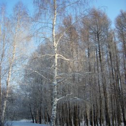 Фотография от Анатолий Анатолий