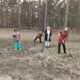 Фотография "Госпиталь на субботнике"