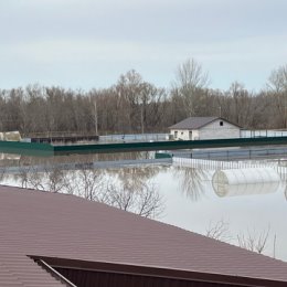 Фотография от Тамара Уваровская ( Полещенко)