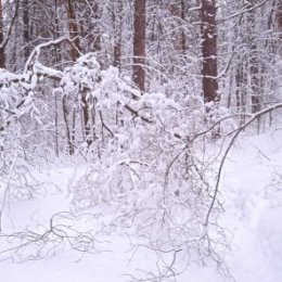 Фотография от Любовь Барсукова