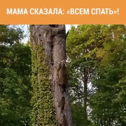 Фотография от Нура Самашки