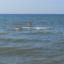 Фотография "Азовское море -пятое в моей коллекции (Черное, Каспийское, Японское, Балтийское )."