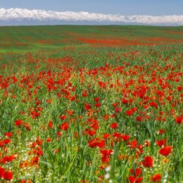 Фотография от Ника Туры выходного дня