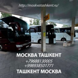Фотография "Москва Ташкент Автобус #москва #ташкент #автобус #приямой #рейс #безпосредников "