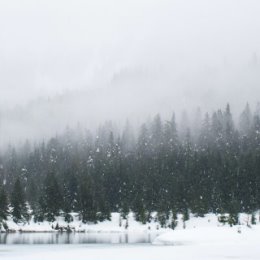 Фотография от Софья Панкова (Высоцкая)