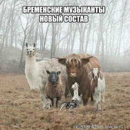 Фотография "Бременские музыканты"