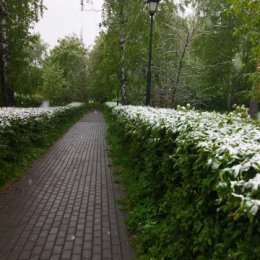 Фотография от Анатолий Черемисин