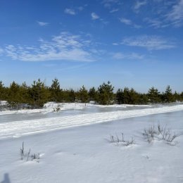 Фотография от Елена Загулина