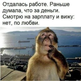 Фотография от Алёна Григоренко