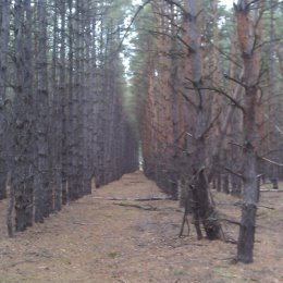 Фотография от Денис Недоступ