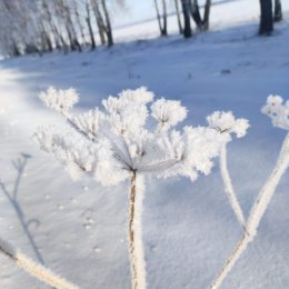 Фотография от Марина Грибанова ( Аниськова)