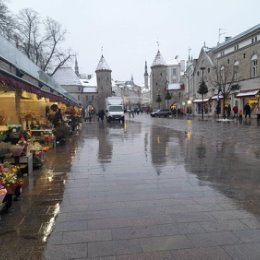 Фотография "Цветочный рынок, Таллин"