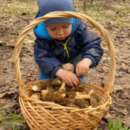 Фотография "#  Самый младшенький собирал для бабули грибочки! "