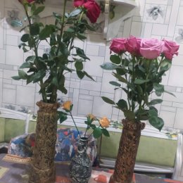 Фотография "Букет из роз от мужа и зятя в зимний вечер"