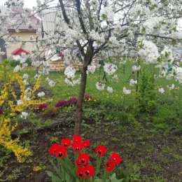 Фотография от Анастасия Гурина Рапинчук