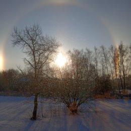 Фотография от Наталья Грызлова