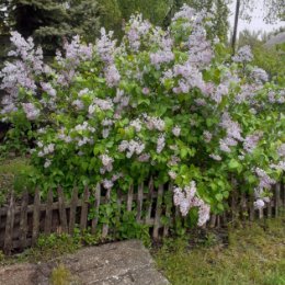 Фотография от Василий Зинин