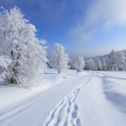 Фотография от Светлана Захарова