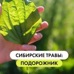 Фотография от Наталья Продукты из Сибири