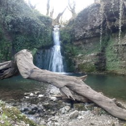 Фотография от ЭКСКУРСИИ по⛰🌊 🏝🍾🍷🔥АБХАЗИИ (СУХУМ)