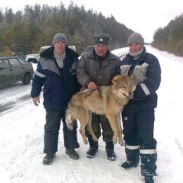 Фотография от Александр Храмов