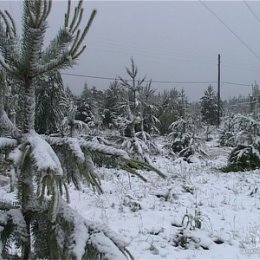 Фотография от Наталия Захарова