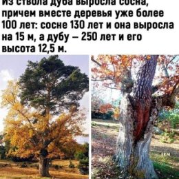 Фотография от Любовь Александровна