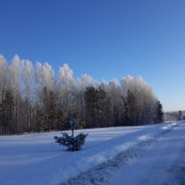 Фотография от Данил Тимофеев