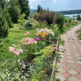 Фотография от Валентина Петрова (Горшкова)